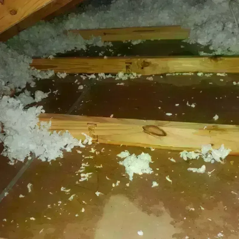 Attic Water Damage in Hillsboro, KS