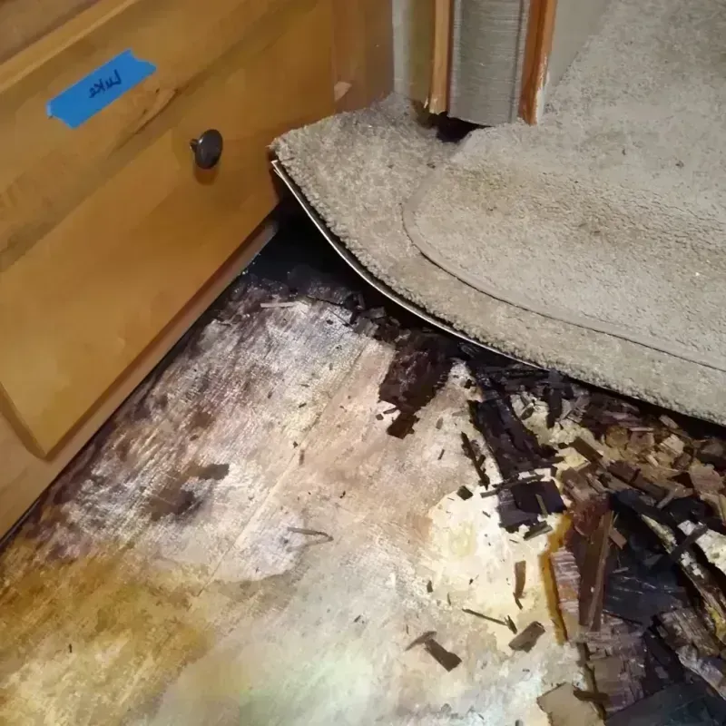 Wood Floor Water Damage in Hillsboro, KS